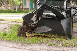 tree-stump-removal-adelaide
