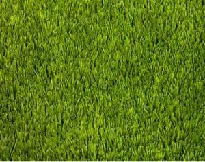 Artificial Grass Gold Coast