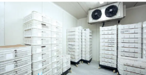 industrial refrigeration solutions