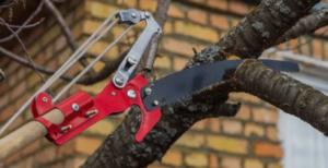 tree lopper